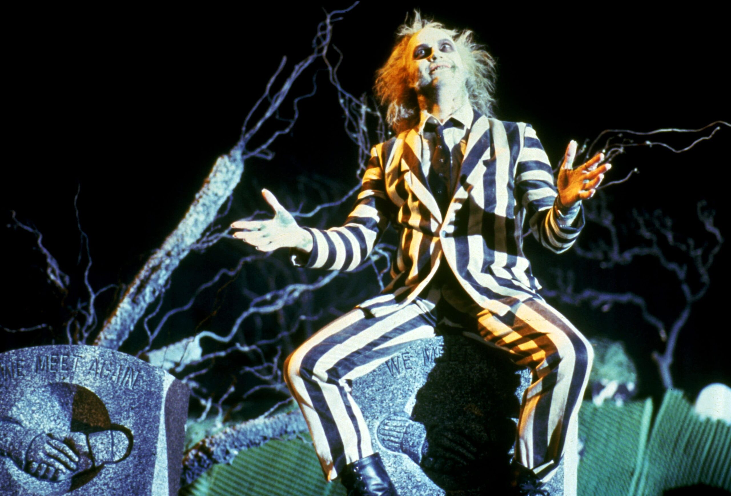 100-lecie Warner Bros: SOK Z ŻUKA (1988)