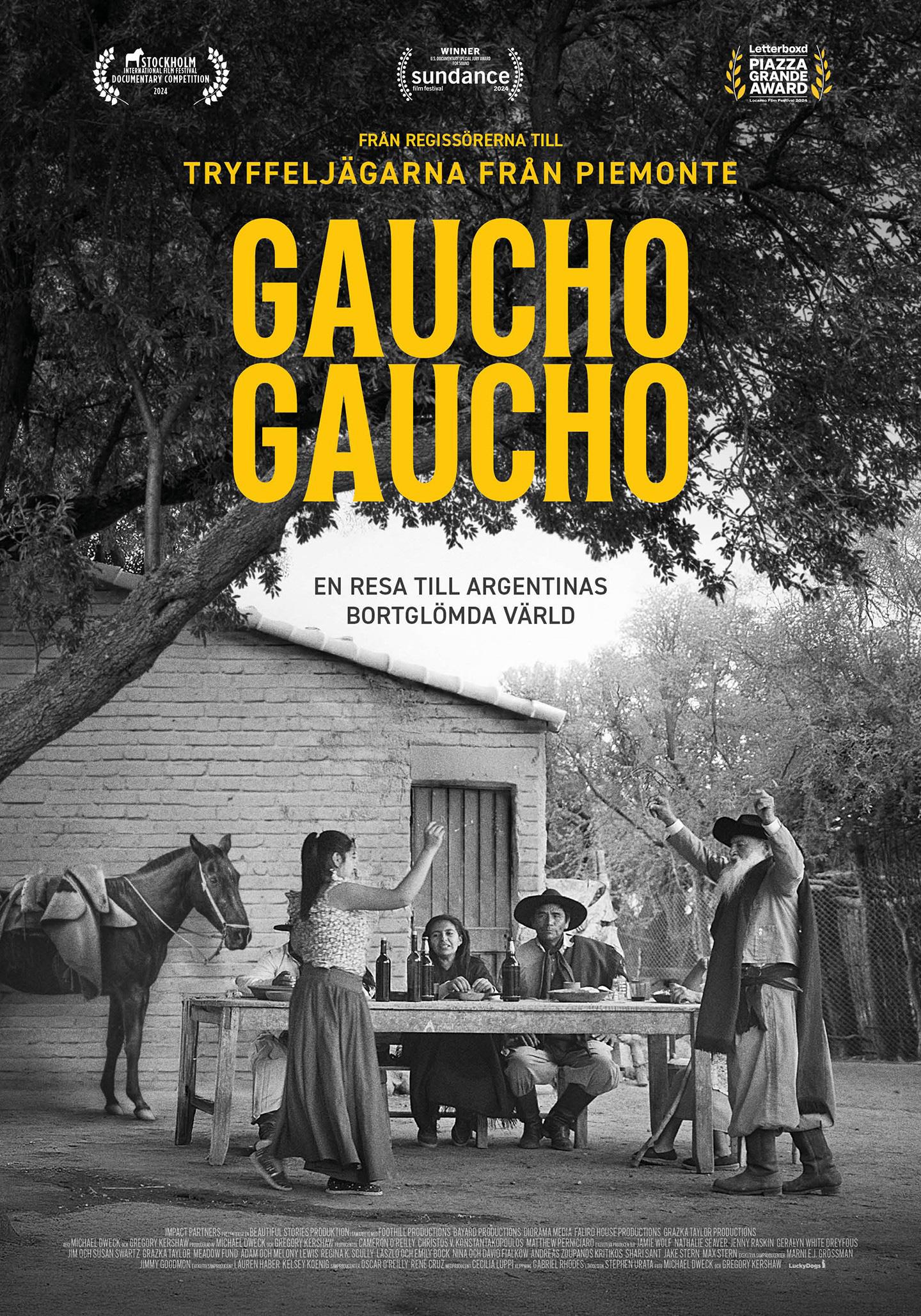 GAUCHO GAUCHO (2024)