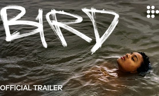 BIRD (2024)