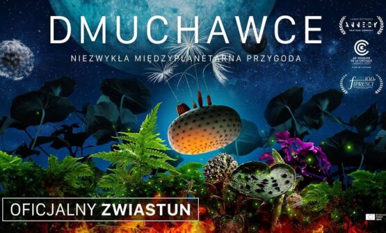 DMUCHAWCE (2025)
