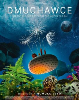 DMUCHAWCE (2025)