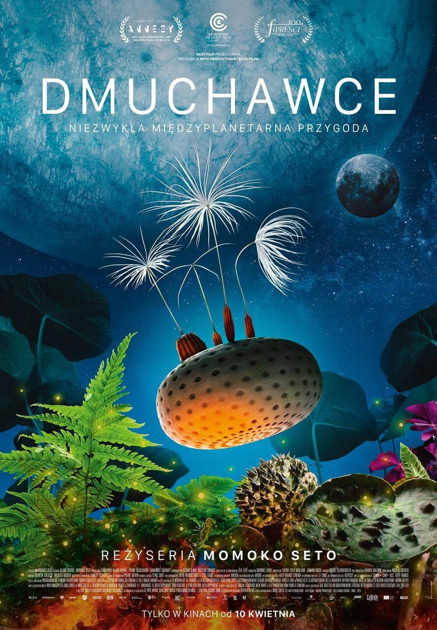 DMUCHAWCE (2025)