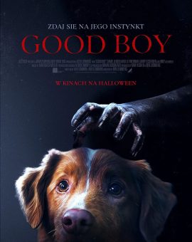 GOOD BOY (2025)