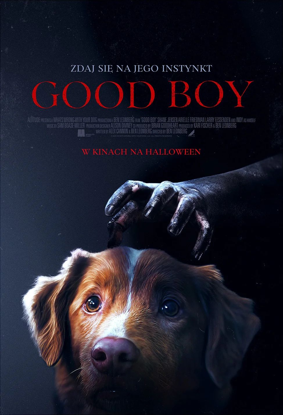 GOOD BOY (2025)