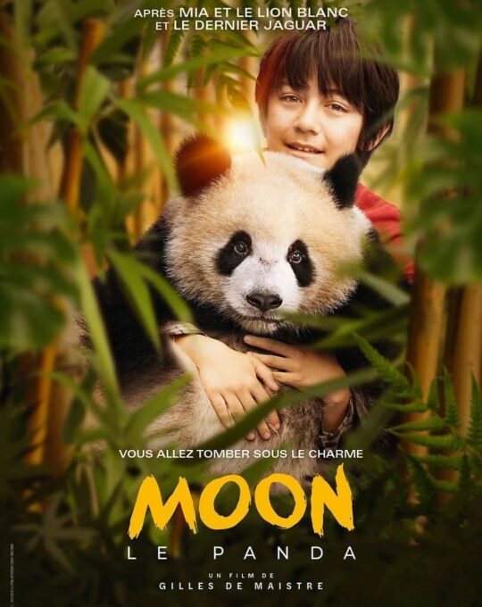 MOON: PANDA I JA (2025)