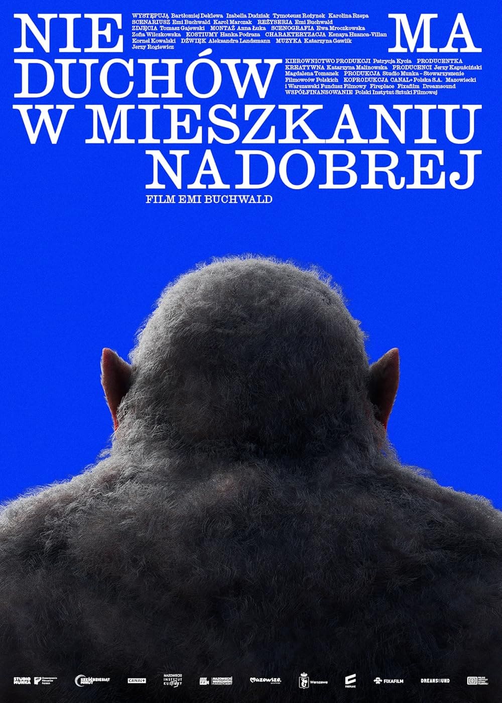 NIE MA DUCHÓW W MIESZKANIU NA DOBREJ (2025)