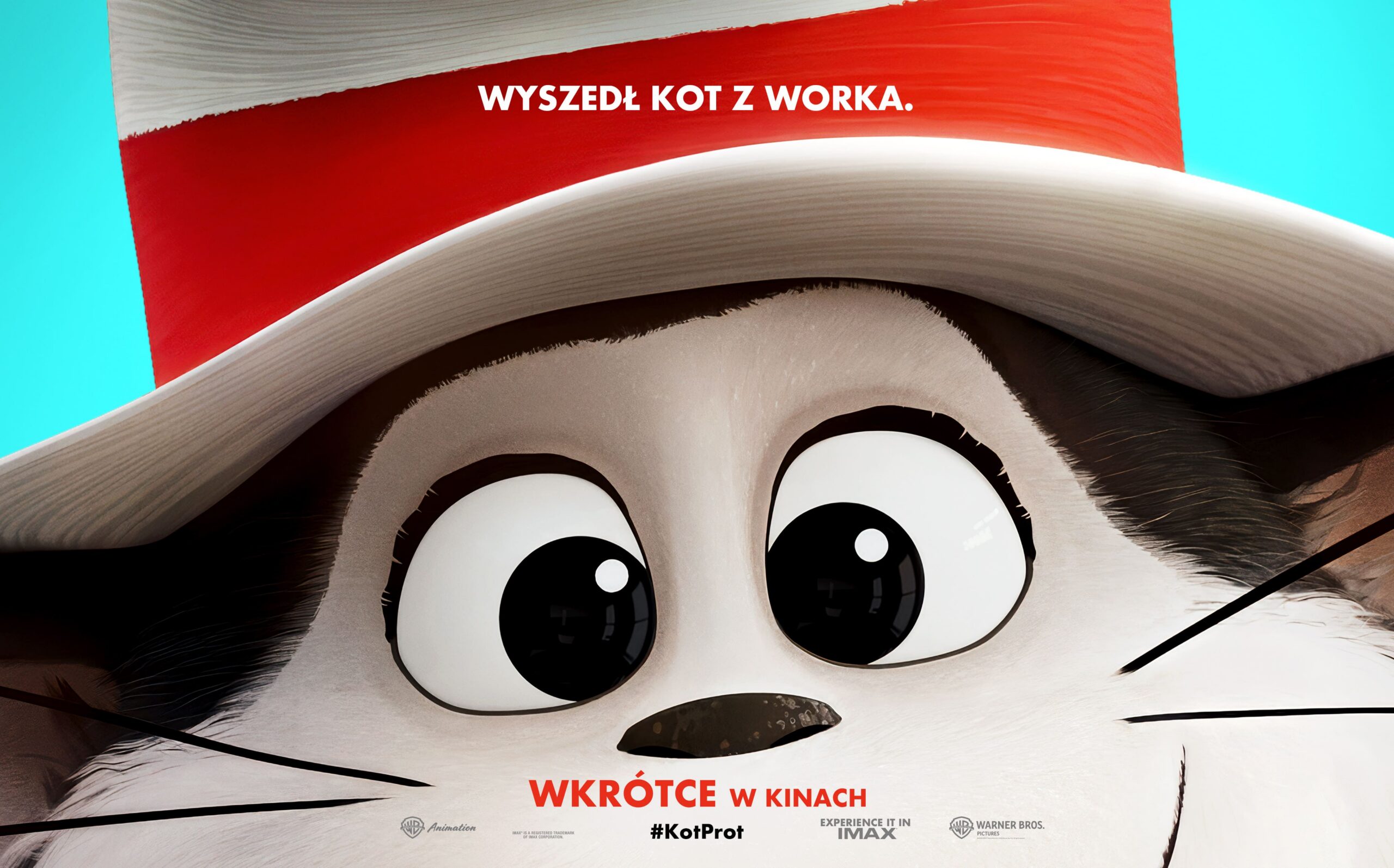 KOT PROT (2026) 2D